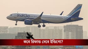 কবে স্বাভাবিক হবে IndiGo-র বিমান পরিষেবা? জানাল নিজেরাই