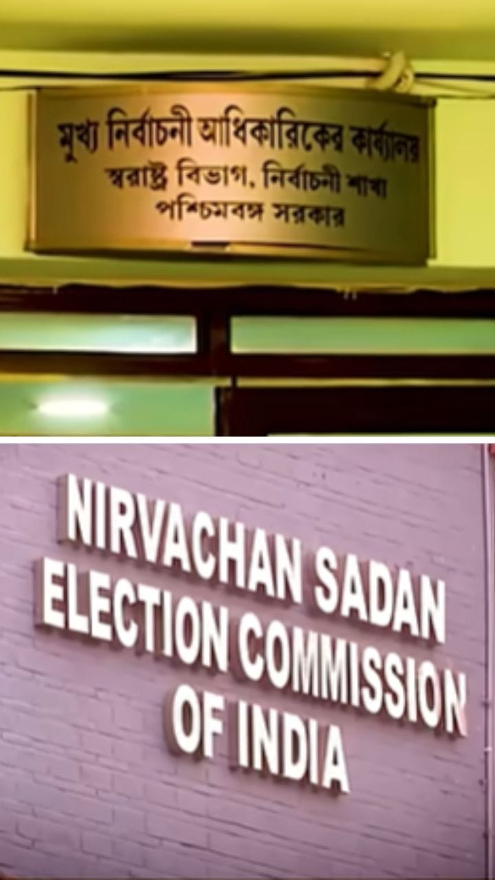 প্রোজেনি ভোটারে বাংলাদেশি লুকিয়ে নেই তো? প্রোজেনি ম্যাপিং কী?