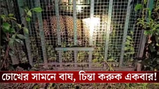 Banarhat: উঠোনে বসে ১০ বছরের ছেলেকে খাওয়াচ্ছিলেন মা, হঠাৎ সামনে চলে এল জলজ্যান্ত চিতাবাঘ, মুহূর্তেই টান মারল বাচ্চাকে, তারপরই হাড়হিম ঘটনা