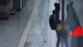 মেট্রো কি নিজের সম্পত্তি! দরজা বন্ধ হয়ে যেতেই যুবক কী করল দেখুন