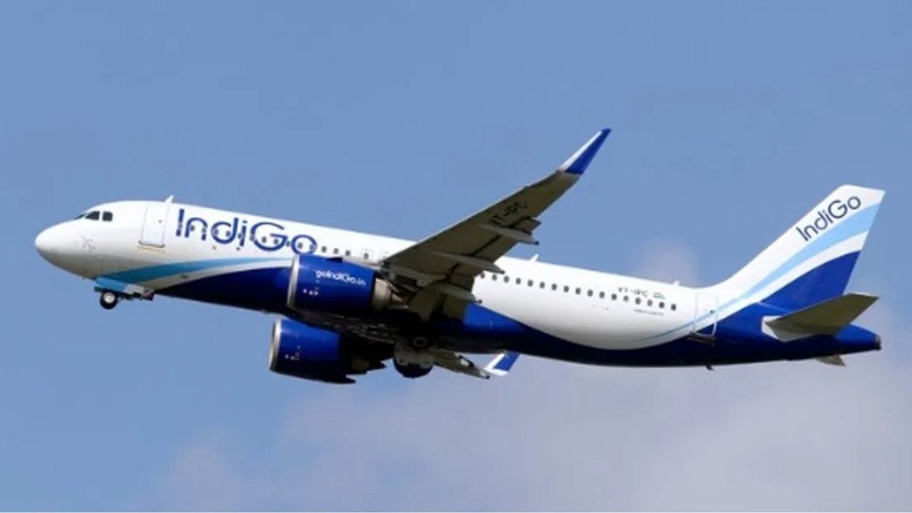 Plane colliding with bird: কলকাতা বিমানবন্দর থেকে উড়ানের পরই বিমানের নাকে ধাক্কা পাখির, বিপদ বুঝেই... Plane colliding with bird: কলকাতা বিমানবন্দর থেকে উড়ানের পরই বিমানের নাকে ধাক্কা পাখির, বিপদ বুঝেই...