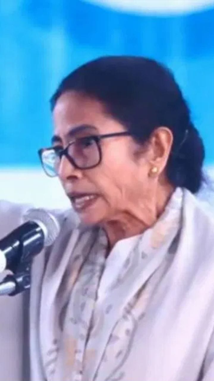 'ওরা সব অর্ধ-গর্ধব, অর্ধশিক্ষিত, গর্ধশিক্ষিত', কাদের এমন বললেন মমতা বন্দ্যোপাধ্যায়?