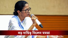 'একটা বাঙালি, দশটা গুজরাটি!', BLA-দের ৮টা দাওয়াই দিলেন মমতা