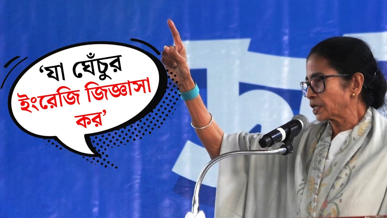 Mamata Banerjee in Bankura: জানেন ঘেঁচুর ইংরেজি কী? Mamata Banerjee in Bankura: জানেন ঘেঁচুর ইংরেজি কী?