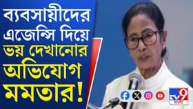 বিজনেস কনক্লেভের মঞ্চে ফের কেন্দ্রের বিরুদ্ধে সুর চড়ালেন মমতা