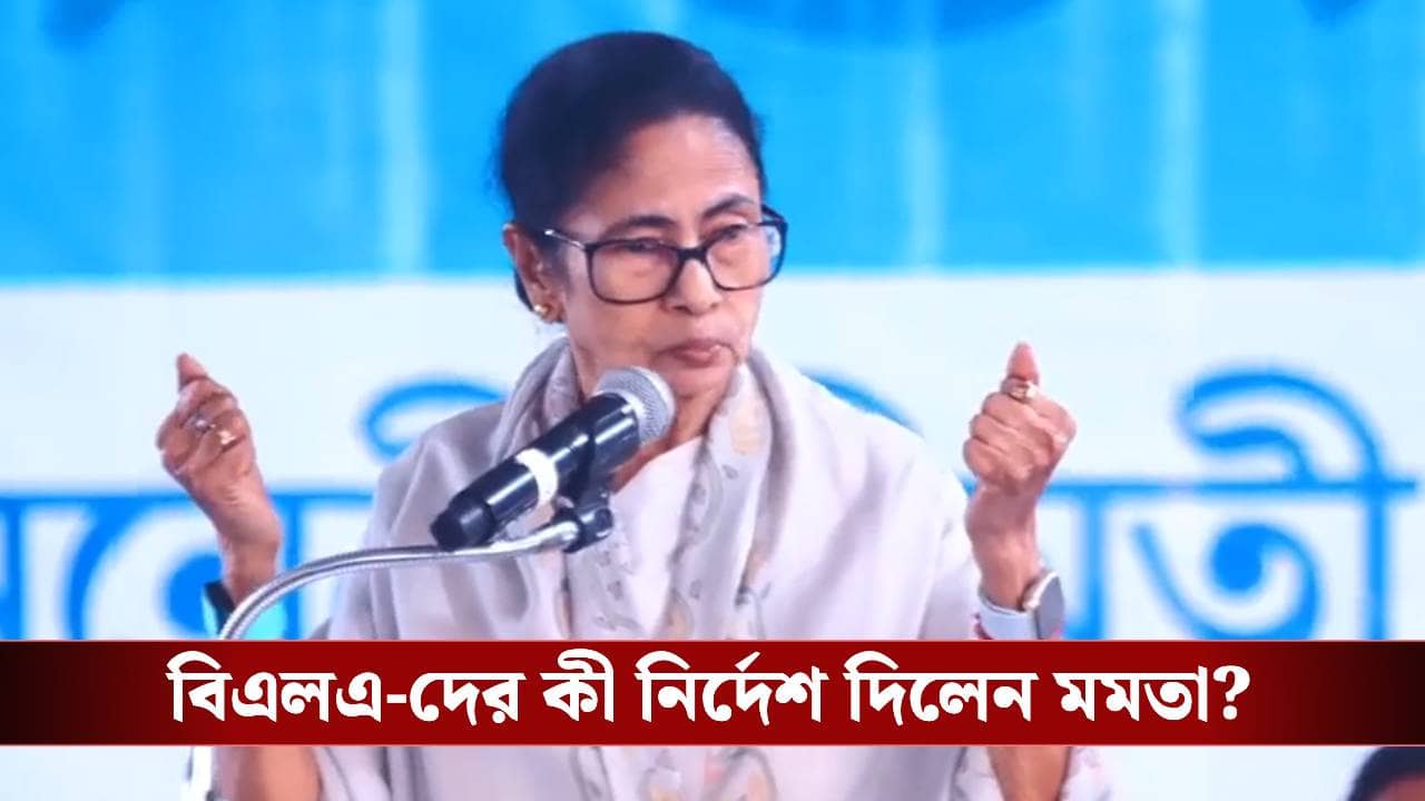 Mamata Banerjee: হিয়ারিংয়ে ঢুকতে দিচ্ছে না কমিশন, বিএলএ-দের বড় নির্দেশ মমতার