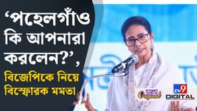 SIR-এ অনুপ্রবেশকারী ইস্যুতে পহেলগাঁও টানলেন মমতা, কী বললেন?