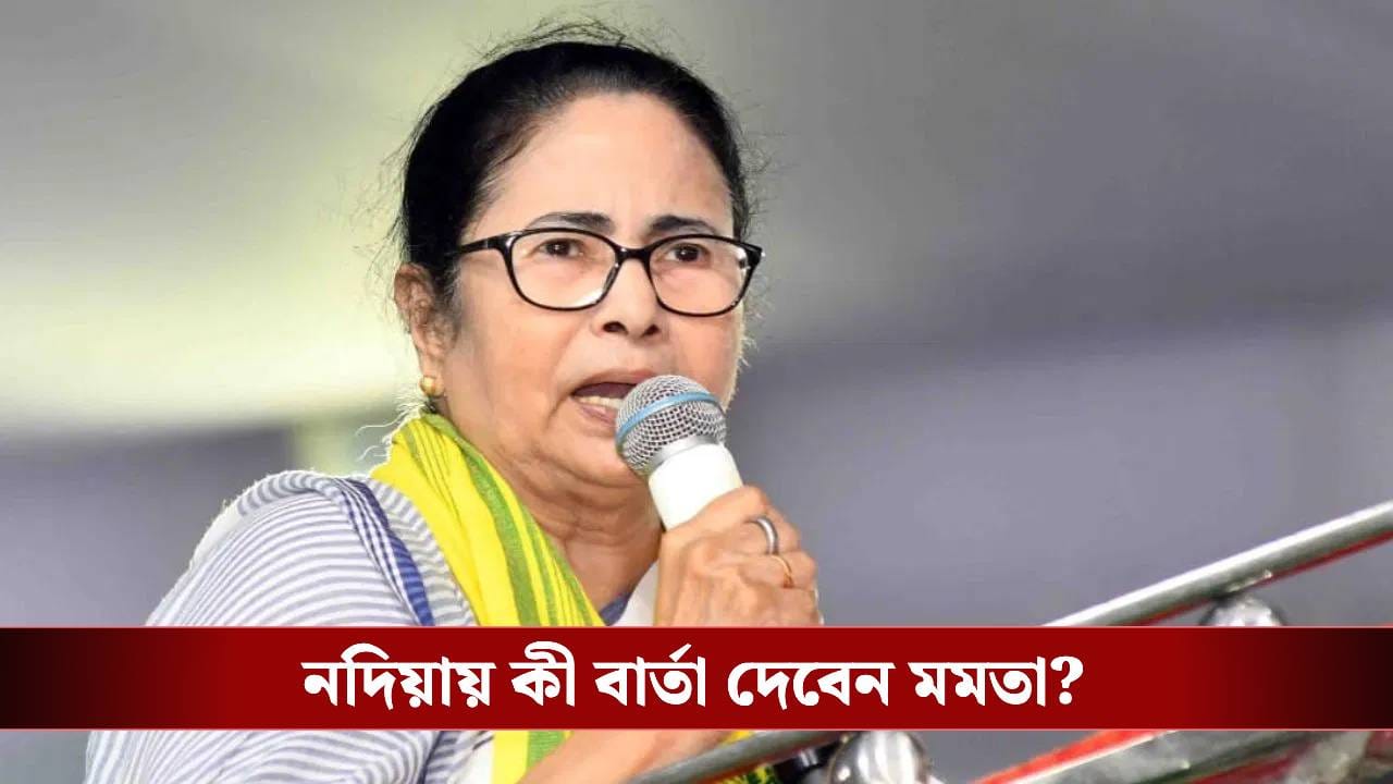 Mamata Banerjee: বাড়ছে ভোটের উত্তাপ, এবার নদিয়ায় সভা মমতার Mamata Banerjee: বাড়ছে ভোটের উত্তাপ, এবার নদিয়ায় সভা মমতার