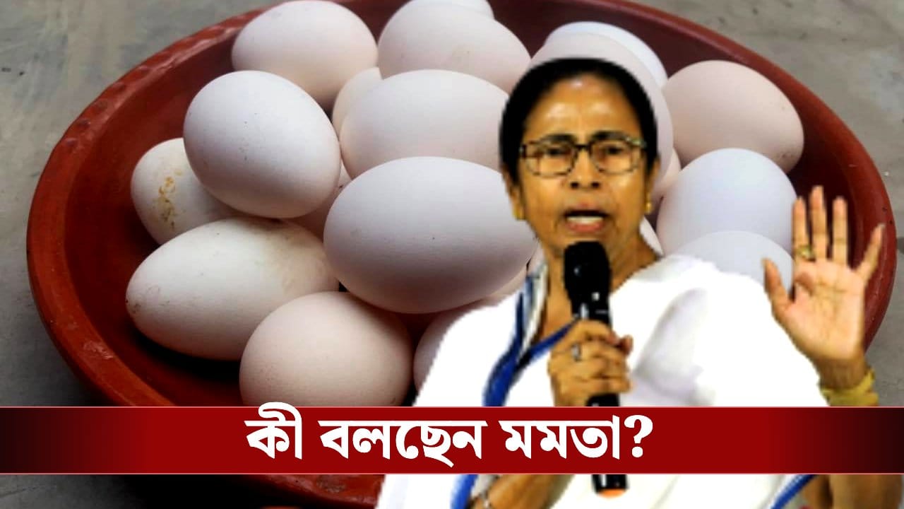 CM Mamata Banerjee: ডিমে হাত দিলেই ছ্যাঁকা, লাগামছাড়া দাম বৃদ্ধি নিয়ে কেন্দ্রকে দুষলেন মমতা CM Mamata Banerjee: ডিমে হাত দিলেই ছ্যাঁকা, লাগামছাড়া দাম বৃদ্ধি নিয়ে কেন্দ্রকে দুষলেন মমতা