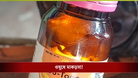 শিশুদের সিল করা ওষুধের মধ্যে মাকড়সা এল কীভাবে?