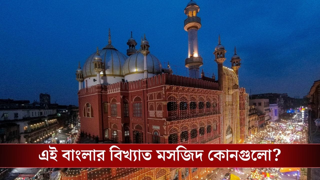 Masjid in West Bengal: বাবরি মসজিদ তৈরি করছেন হুমায়ুন, কিন্তু এই বাংলার বিখ্যাত মসজিদগুলো চেনেন? Masjid in West Bengal: বাবরি মসজিদ তৈরি করছেন হুমায়ুন, কিন্তু এই বাংলার বিখ্যাত মসজিদগুলো চেনেন?
