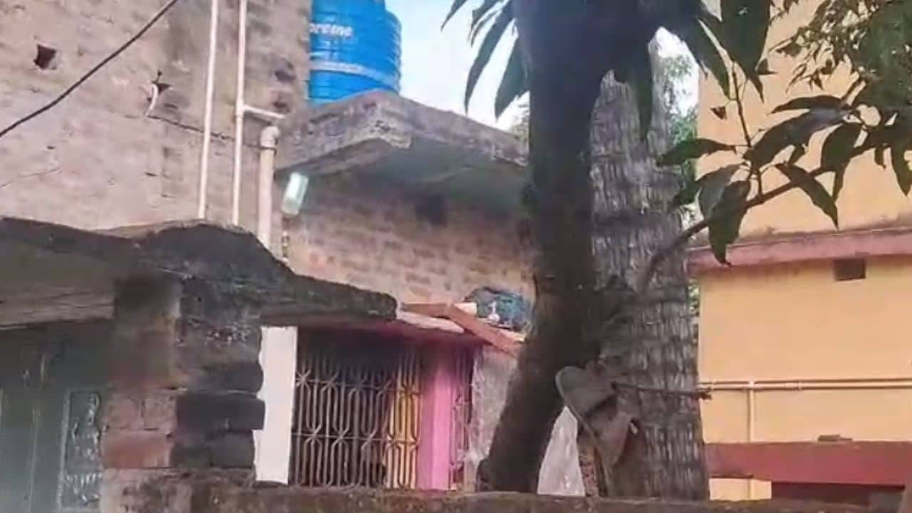 Murshidabad Murder: বৃদ্ধা মা-কে কুপিয়ে খুন, অভিযুক্ত ক্যানসার আক্রান্ত ছেলে