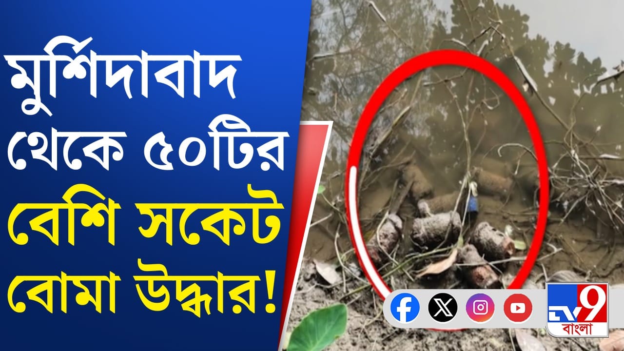 Murshidabad: কখনও পুকুর পাড়, কখনও বা বাঁশ বাগান! মুর্শিদাবাদে বোমার পাহাড় Murshidabad: কখনও পুকুর পাড়, কখনও বা বাঁশ বাগান! মুর্শিদাবাদে বোমার পাহাড়