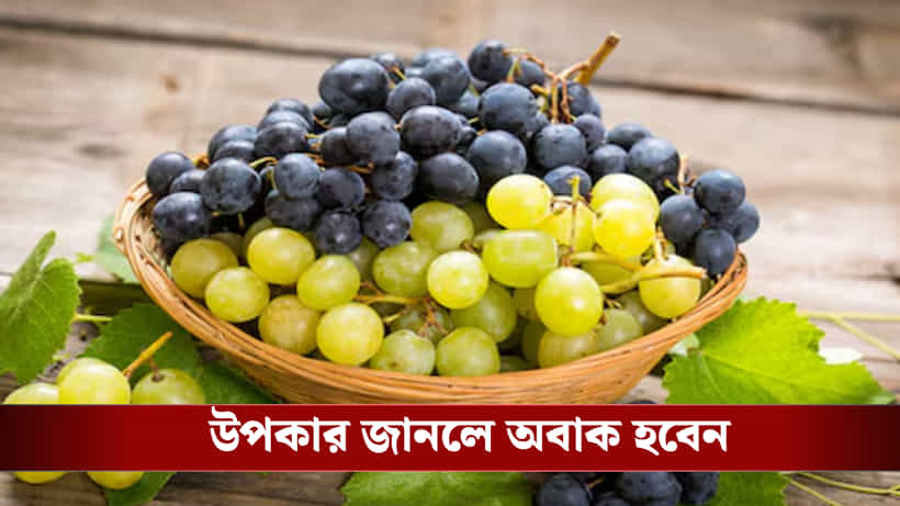 কালো না সবুজ! ক্যানসার প্রতিরোধ ক্ষমতাও বাড়ায় কোন আঙুর