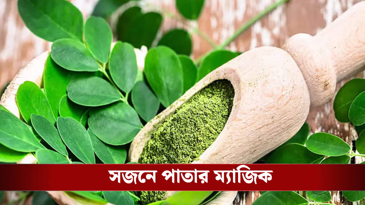 দ্রুত কমবে ওজন, ম্যাজিকের মতো কাজ করবে সজনে পাতা