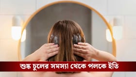 শীতে শুষ্ক চুলের সমস্যা থেকে পলকে মিলবে স্বস্তি, এই টিপসেই ম্যাজিক