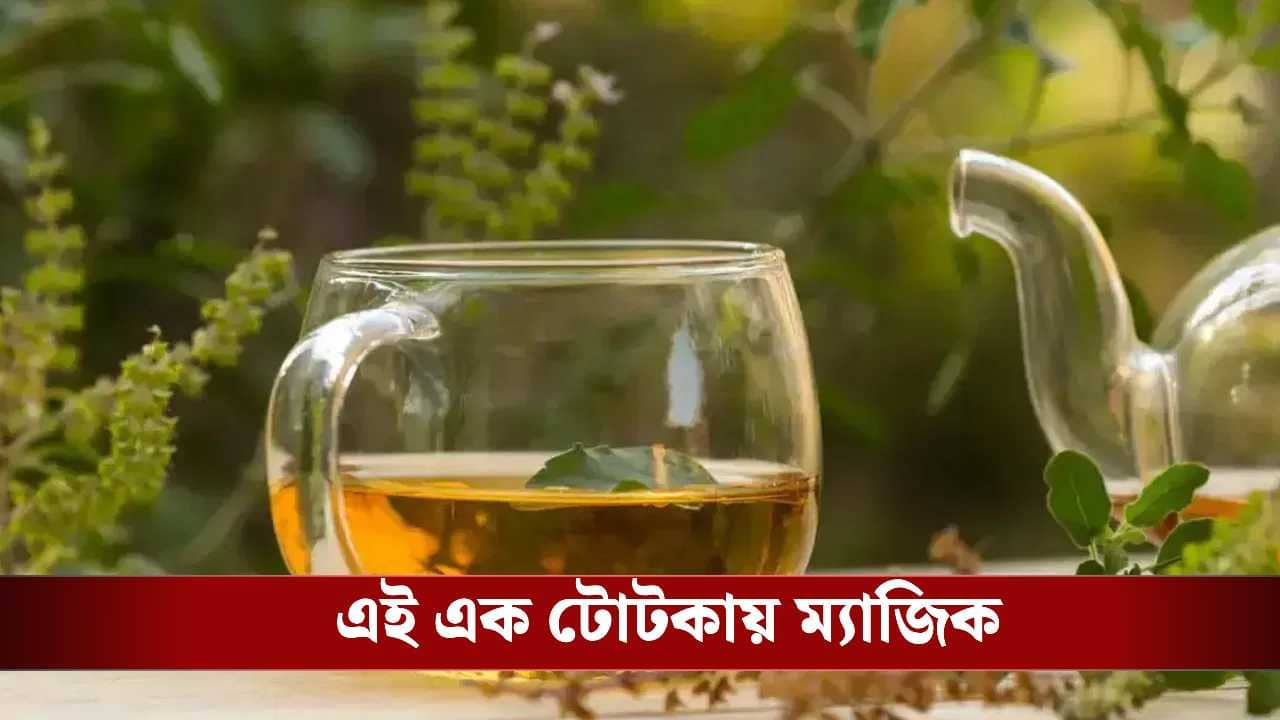 এবার শীত কাটান স্বস্তিতে, চা ও তুলসীর অব্যর্থ টোটকায় কীভাবে থাকুন চাঙ্গা