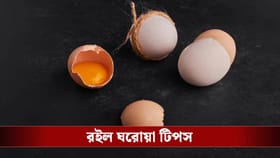 ডিমের খোসা ফেলে দেবেন না, এর অন্য ব্যবহার জানলে জমাতে শুরু করবেন