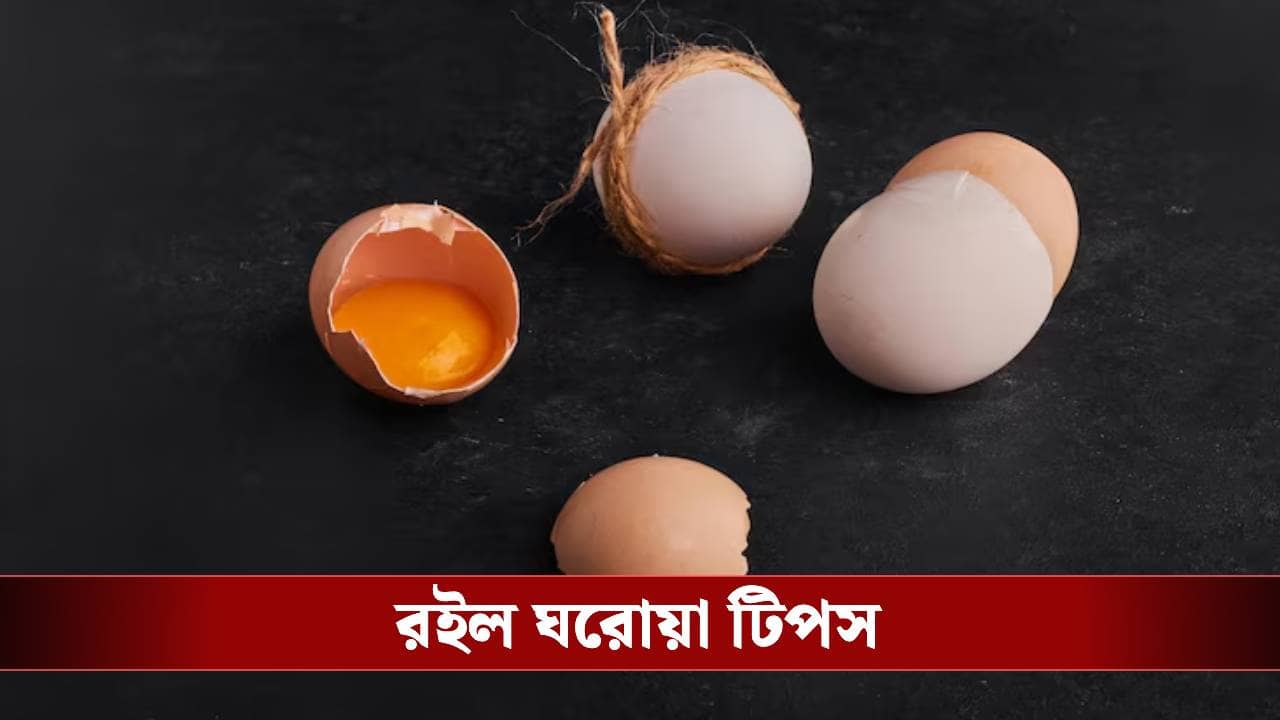 ডিমের খোসা ভুলেও ফেলে দেবেন না, এর অন্য ব্যবহার জানলে আজ থেকেই জমাতে শুরু করবেন