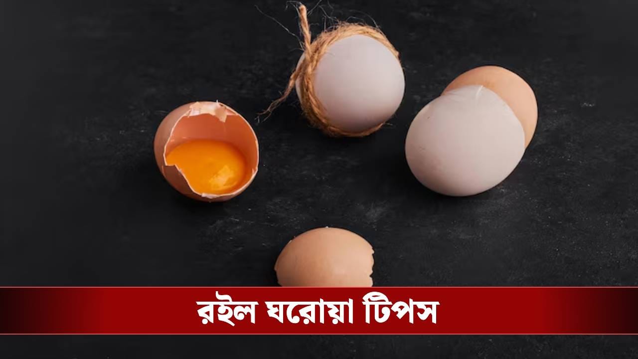 ডিমের খোসা ভুলেও ফেলে দেবেন না, এর অন্য ব্যবহার জানলে আজ থেকেই জমাতে শুরু করবেন ডিমের খোসা ভুলেও ফেলে দেবেন না, এর অন্য ব্যবহার জানলে আজ থেকেই জমাতে শুরু করবেন