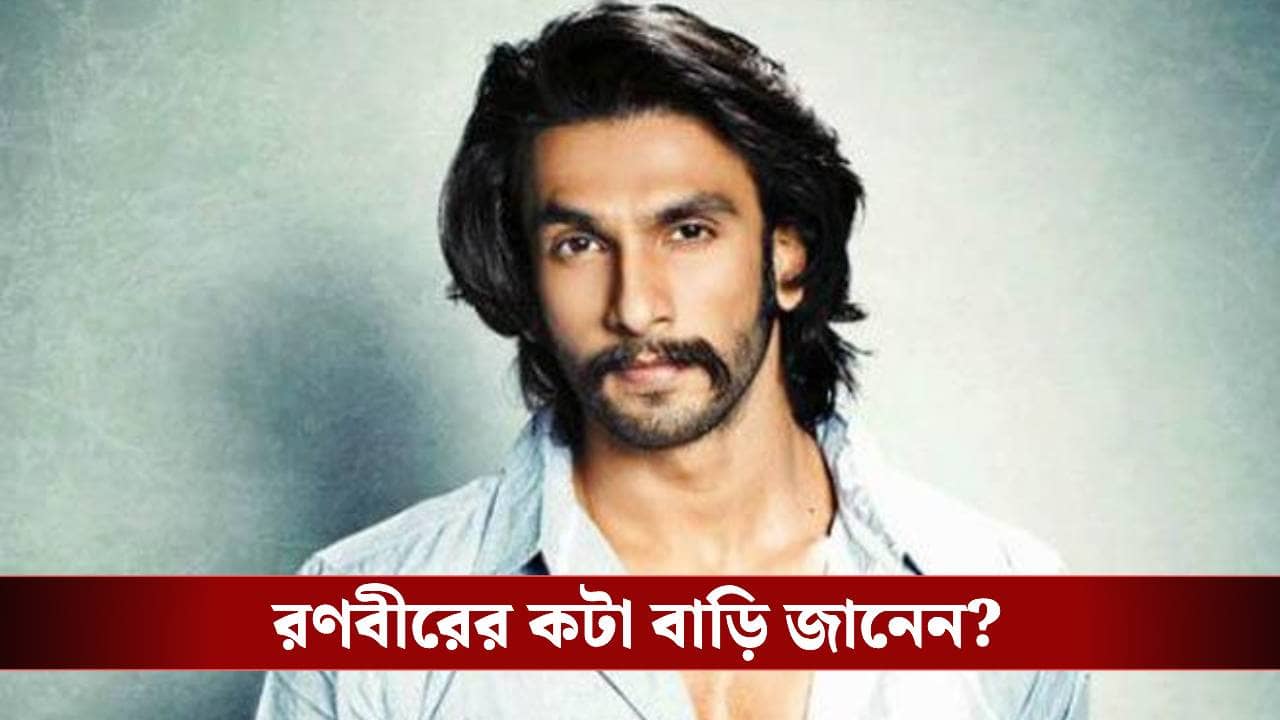 এক ছবিতেই পান ৫০ কোটি, সোশাল মিডিয়া পোস্টে ৮০ লাখ! রণবীর সিং কত টাকার মালিক জানেন?