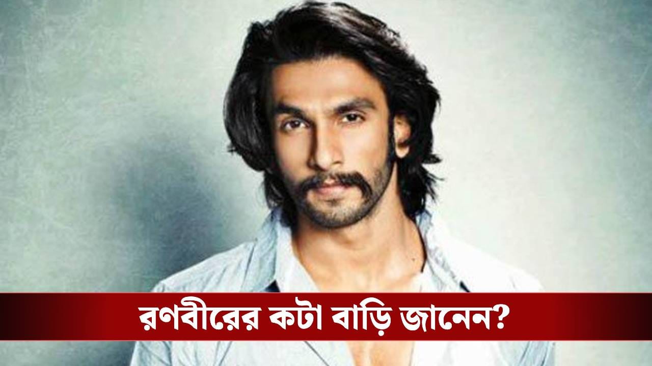 এক ছবিতেই পান ৫০ কোটি, সোশাল মিডিয়া পোস্টে ৮০ লাখ! রণবীর সিং কত টাকার মালিক জানেন?