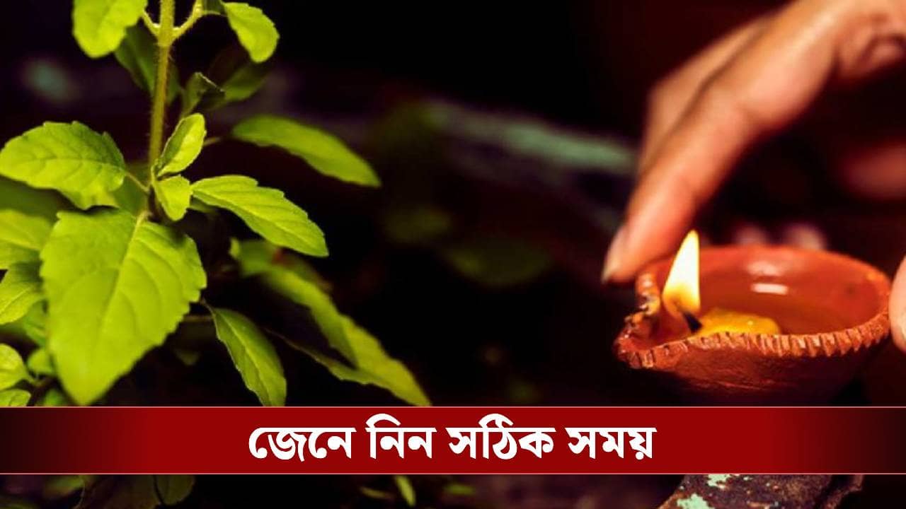 ঠিক কোন সময়ে তুলসী গাছের নিচে প্রদীপ জ্বালালে শুভ ফল পাবেন?