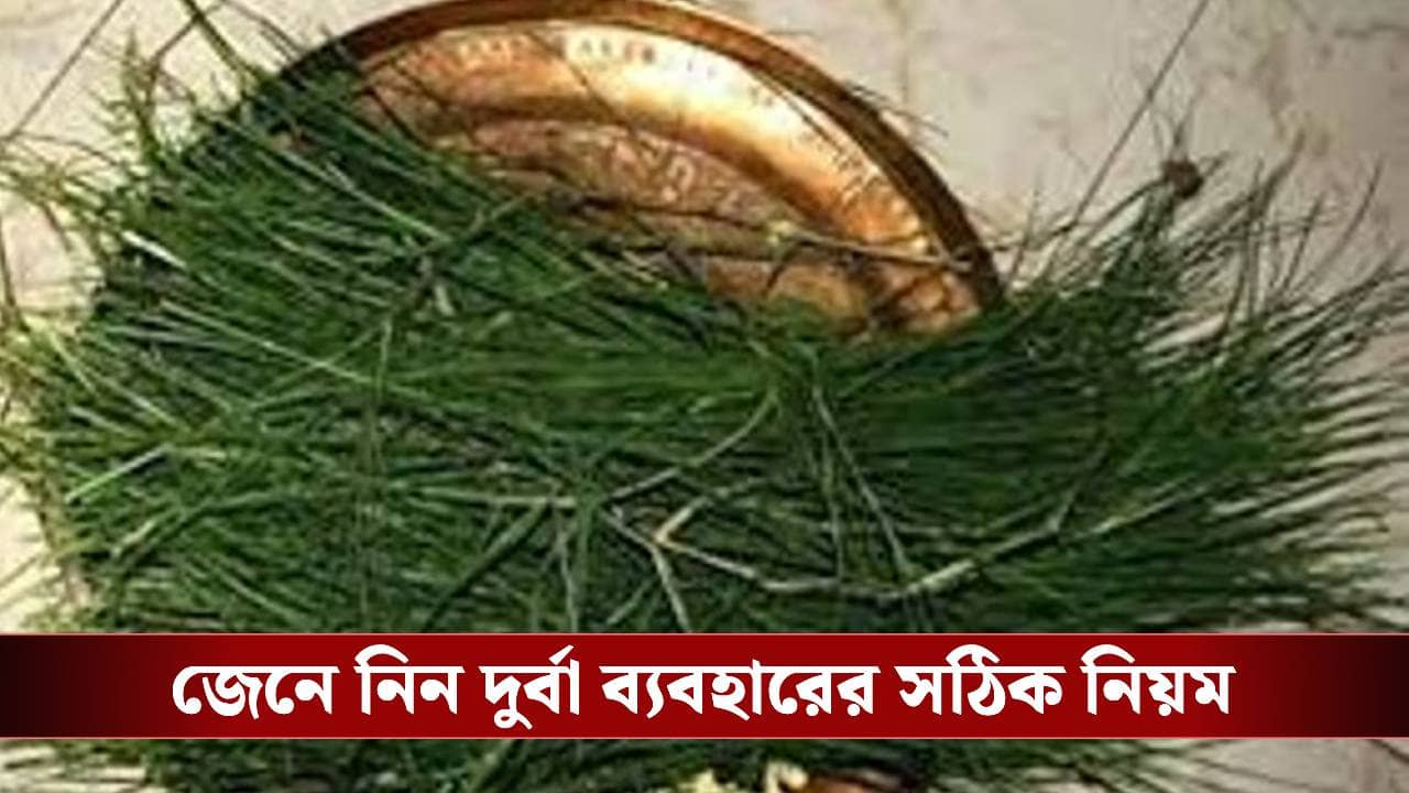 ভুলেও এই দেবতাকে দেবেন না দুর্বা ঘাস, আশীর্বাদের বদলে মিলবে অভিশাপ!