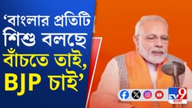 'বাংলাতে মহা জঙ্গলরাজ', তৃণমূলকে নিশানা করে মোদী যা বললেন...