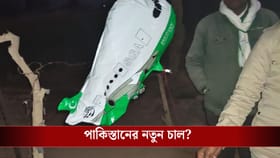 পাকিস্তানের পতাকা, চাষের জমিতে এই জিনিস পেতেই হাই অ্যালার্ট জারি BSF-র