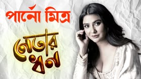 ২০১৯-এ তিন গুণ আয়, কত সম্পত্তি মাধ্যমিক পাশ পার্নো মিত্রর?