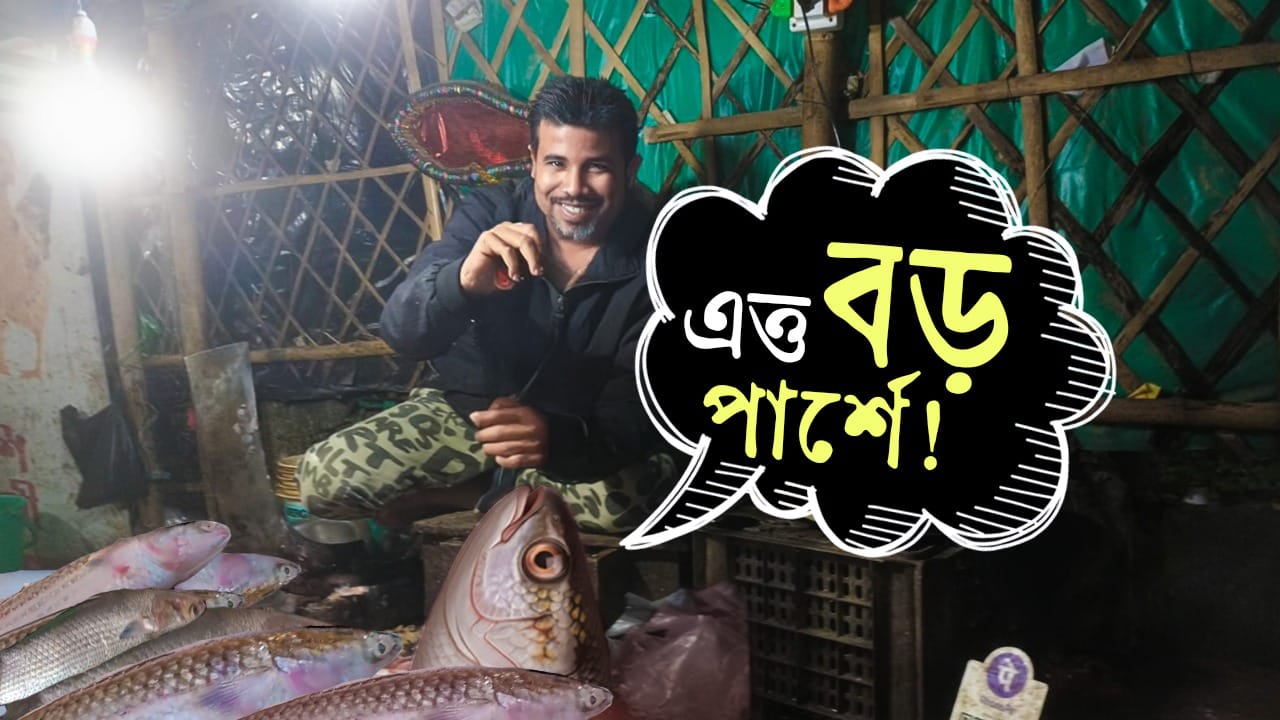 Parshe Fish: বাংলায় মিরাকেল! আড়াই কেজি পার্শে মাছ দেখে চোখ সার্থক করুন