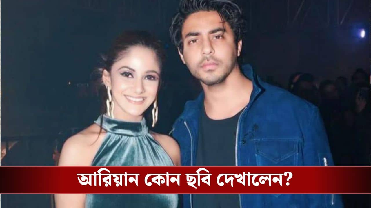 রাত তিনটে অবধি পার্টি, তৃণার সঙ্গে কী কথা হলো শাহরুখপুত্র আরিয়ানের?