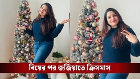 বরের ছবি দিলেন না, বানালেন কাস্টার্ড, বিদেশে তনুশ্রীর ক্রিসমাসে চমক