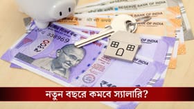 নতুন বছরেই কি খারাপ খবর! কেন কমে যাবে আপনার স্যালারি?