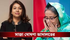 সাজা বাড়ল হাসিনার, বোনঝি টিউলিপকে কারাদণ্ড দিল বাংলাদেশের আদালত