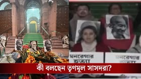 কনকনে ৯ ডিগ্রির ঠান্ডাতেও সংসদের বাইরে বসে রইল তৃণমূল সাংসদরা, কেন?