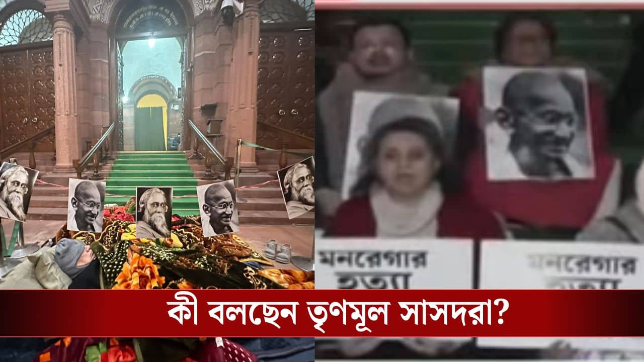 TMC MPs in Parliament: কনকনে ৯ ডিগ্রির ঠান্ডাতেও সংসদের বাইরে বসে রইল তৃণমূল সাংসদরা, কেন?