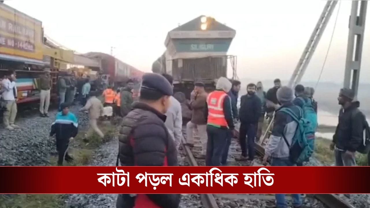 Train Accident: হাতির পালে ধাক্কা মেরে লাইনচ্যুত রাজধানী এক্সপ্রেস, ৮ হাতির মৃত্যু