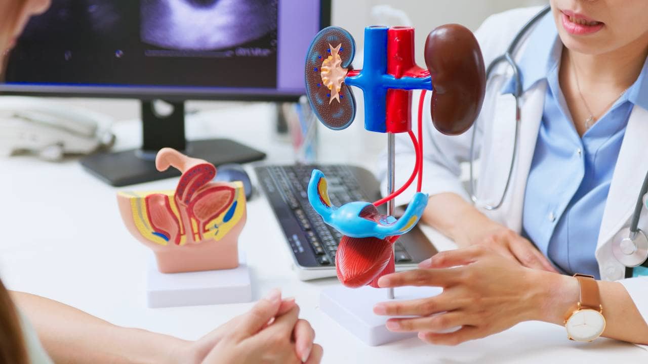 Uric Acid: খাওয়া কমিয়েও কমছে না ইউরিক অ্যাসিড! কাজে দিতে পারে এই অভ্যাস