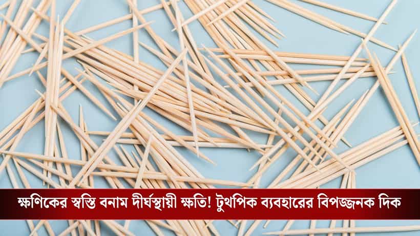 Toothpicks: বিপদ কি লুকিয়ে আছে দাঁতের ফাঁকে? টুথপিক ব্যবহারের অভ্যাস কখন ডেকে আনে গুরুতর সমস্যা