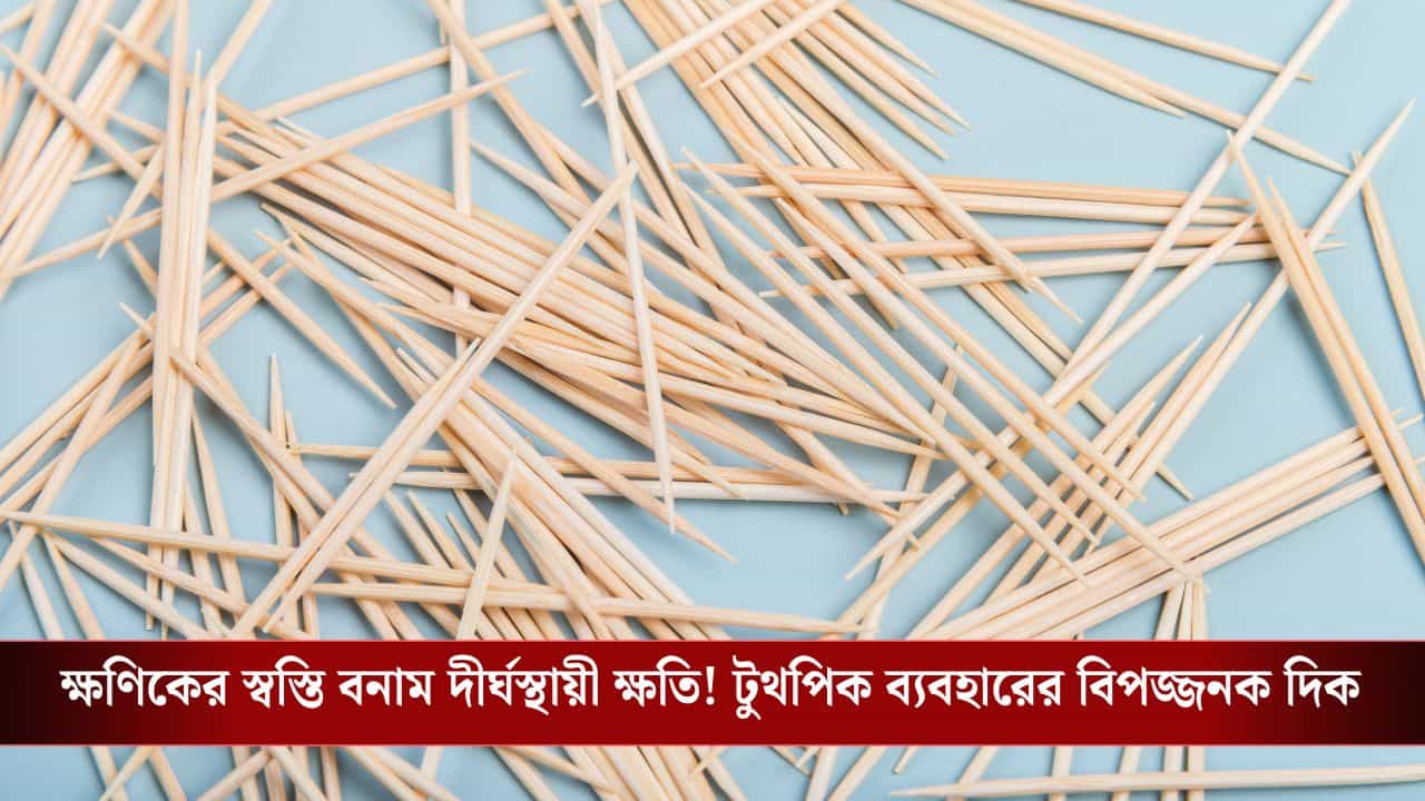 Toothpicks: বিপদ কি লুকিয়ে আছে দাঁতের ফাঁকে? টুথপিক ব্যবহারের অভ্যাস কখন ডেকে আনে গুরুতর সমস্যা Toothpicks: বিপদ কি লুকিয়ে আছে দাঁতের ফাঁকে? টুথপিক ব্যবহারের অভ্যাস কখন ডেকে আনে গুরুতর সমস্যা