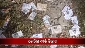 ড্রেন থেকে উদ্ধার একাধিক ভোটার কার্ড, চাঞ্চল্য নবদ্বীপে