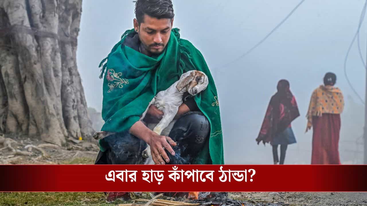 West Bengal Weather Update Today: দার্জিলিংয়ে ৫, মালদহতে ১৬ ডিগ্রি! কলকাতাতেও কি জাঁকিয়ে ঠান্ডা পড়বে আজ থেকে, কী বলছে হাওয়া অফিস? West Bengal Weather Update Today: দার্জিলিংয়ে ৫, মালদহতে ১৬ ডিগ্রি! কলকাতাতেও কি জাঁকিয়ে ঠান্ডা পড়বে আজ থেকে, কী বলছে হাওয়া অফিস?