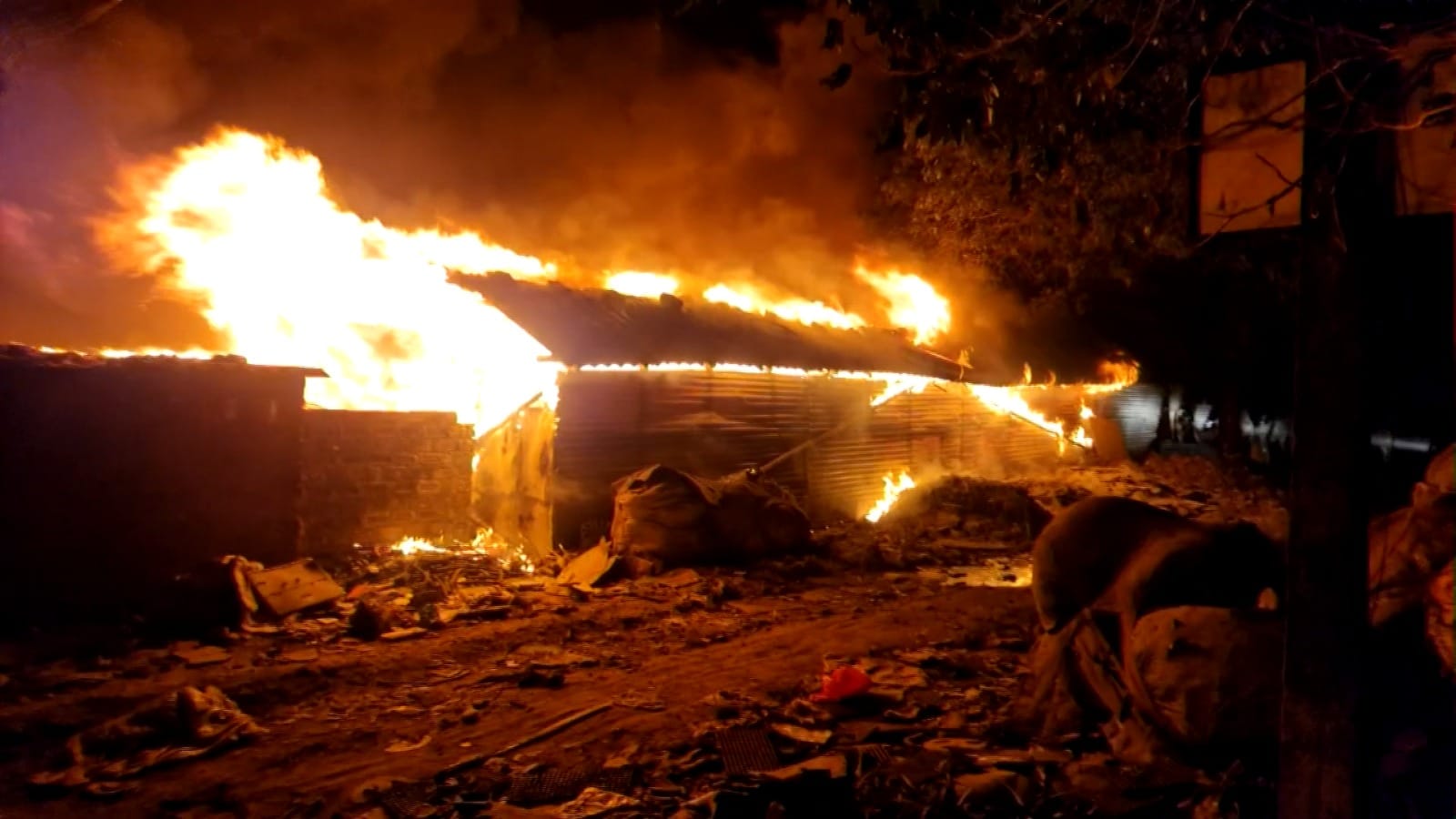 Whatsapp Image 2025 12 17 At 7.54.02 Pm