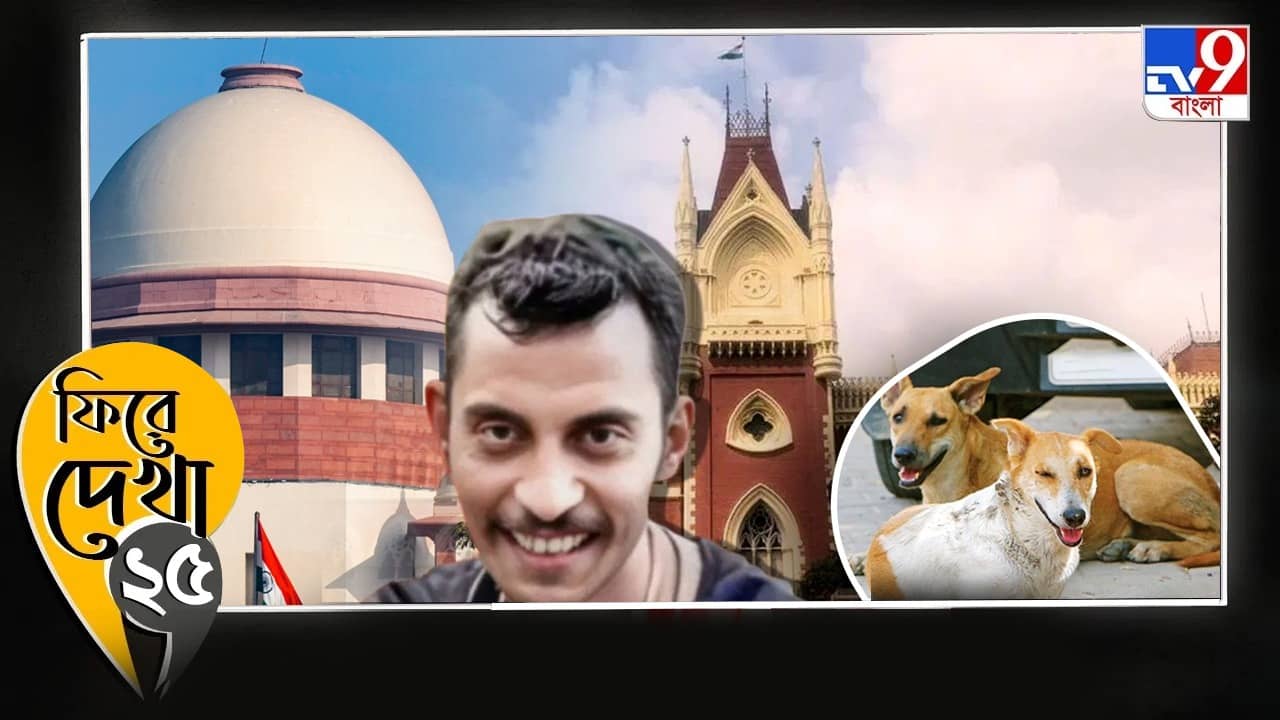 সঞ্জয়ের শাস্তি থেকে চাকরি বাতিল, ২০২৫-এ সাড়া ফেলা পাঁচ রায়