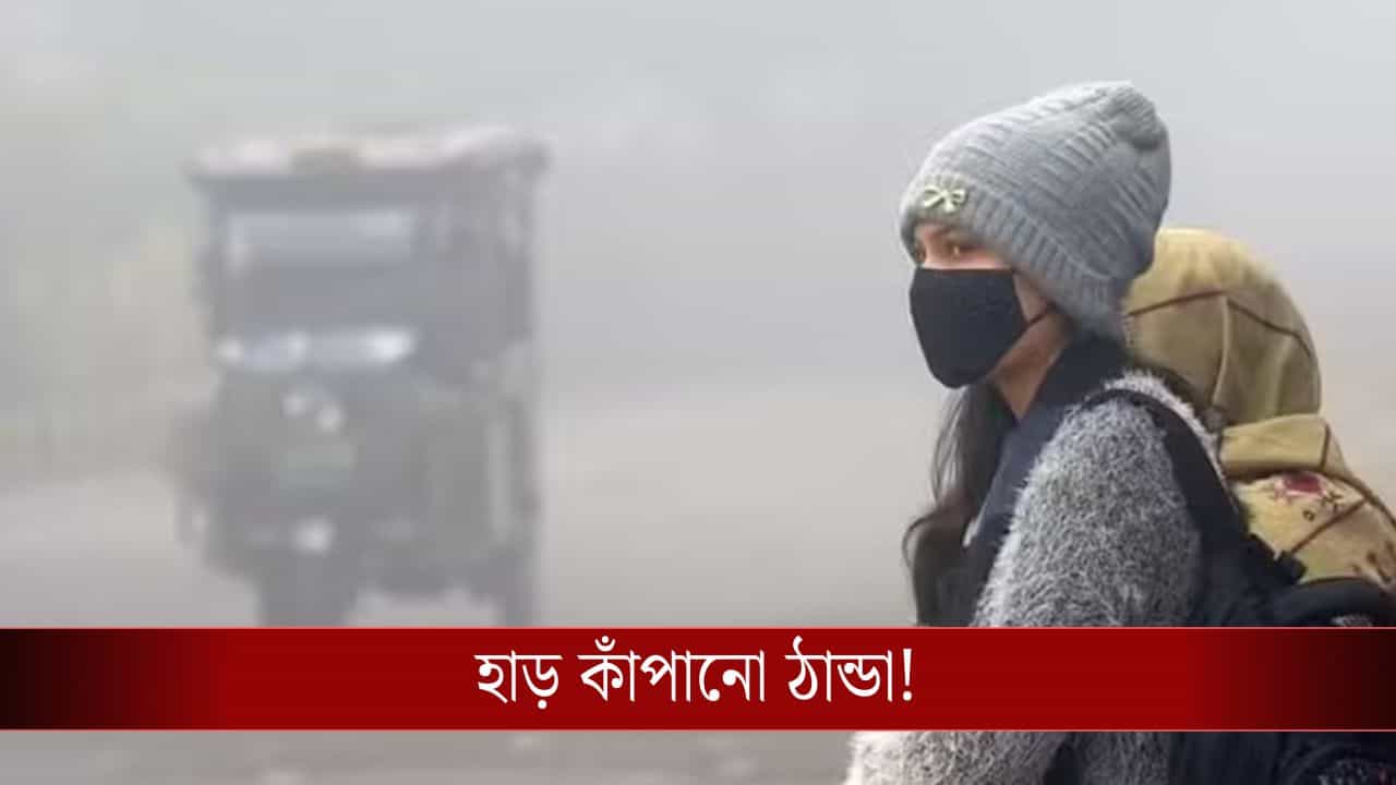 West Bengal Weather: জাঁকিয়ে ঠান্ডা বাংলার এই জেলাগুলোয়, কতটা নীচে নামবে পারদ? West Bengal Weather: জাঁকিয়ে ঠান্ডা বাংলার এই জেলাগুলোয়, কতটা নীচে নামবে পারদ?