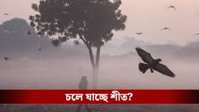 উত্তুরে হাওয়ায় পড়তে পারে বাঁধ, 'কোল্ডেস্ট ডে'-তে শীত দিল দুঃখের খবর