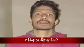 পাকিস্তানের জেলে কেটেছে ৪ বছর, সেখানেই ফেরার চেষ্টা! হাতেনাতে ধরল BSF