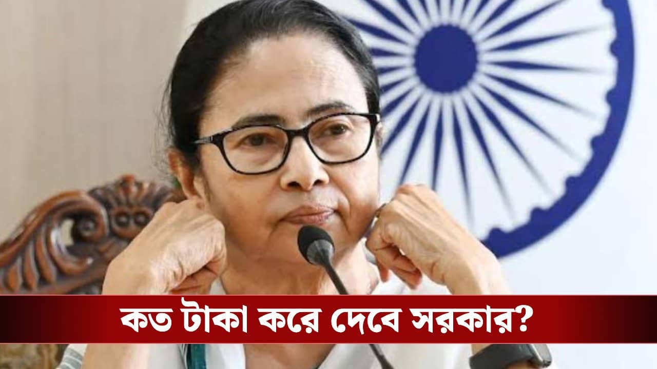 CM Mamata Banerjee: এসআইআর আতঙ্কে মৃত-সঙ্কটজনকদের জন্য ক্ষতিপূরণ ঘোষণা মমতার